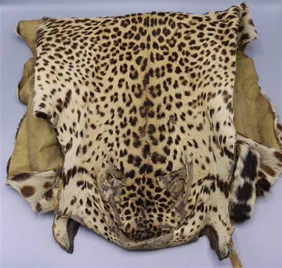 Leopard skin